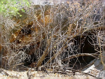 WA: Devonian Reef Conservation Park