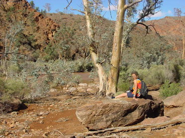 Arkaroola - Bararranna Gorge