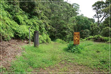 O'ahu: Poamoho Access Rd.