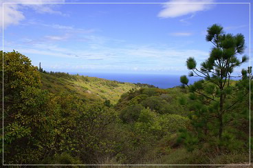 O'ahu: Satellite Tracking Station Access Rd.