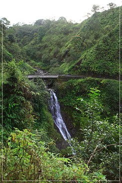 Maui: Hana Rd.