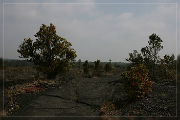 Big Island: Napau Crater Trail