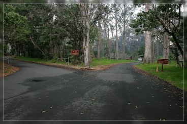 Big Island: Namakanipaio Campground