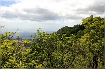 O'ahu: Mokule'ia Gebiet: unbekannter Trail