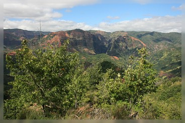 Kaua'i: Waimea Canyon: Kukui Trail
