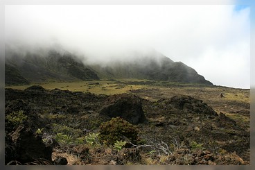 Maui: Haleakala: Halemau'u Trail