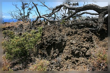 Big Island: Hawai'i Volcanoes NP: Ka'u Desert Trail
