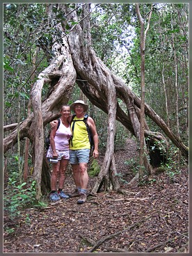 Water Trank Trail, Koke'e SP, Kaua'i