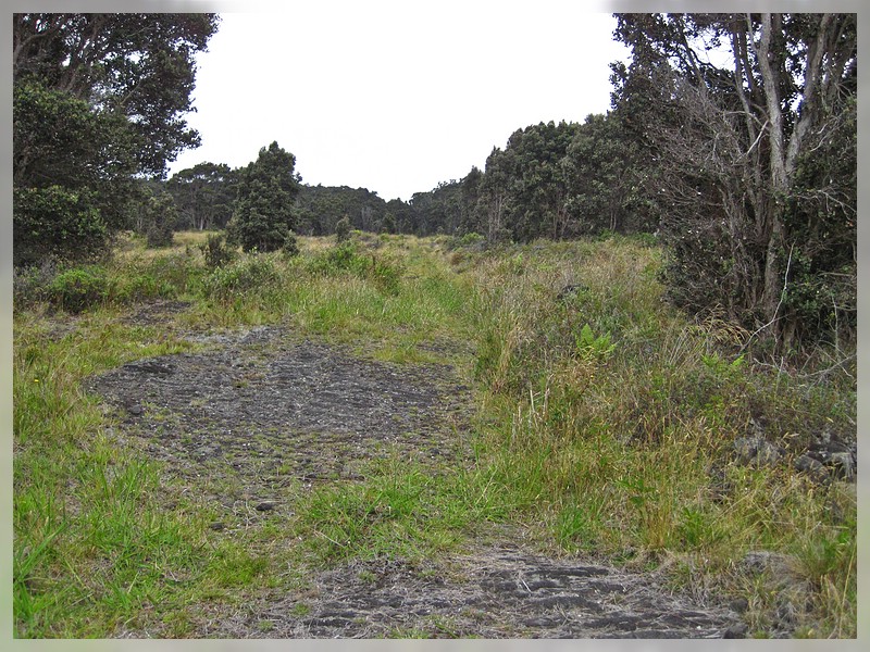 Big Island: Powerline Trail