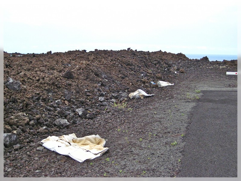 Big Island: Suche nach Zufahrt zu den Pu'u Ki Petroglyphs