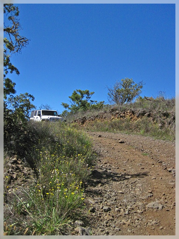 Big Island: R 1