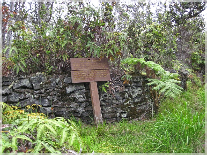 Big Island, Volcanoes NP: Napau Crater Trail