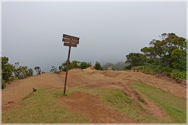 Kaua'i: Koke'e SP: Pu'u o Kila Lookout