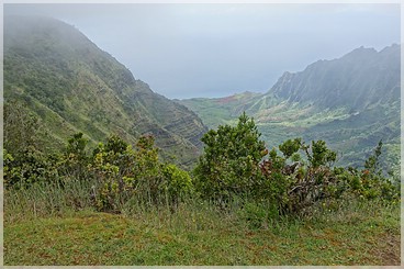 Kaua'i: Koke'e SP: Pihea Trail