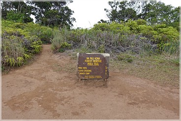 Kaua'i: Koke'e SP: Pihea Trail