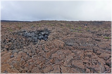 Big Island: Mauna Loa Observatory Rd.