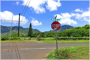 Kaua'i: Richtung Menehune Fishpond