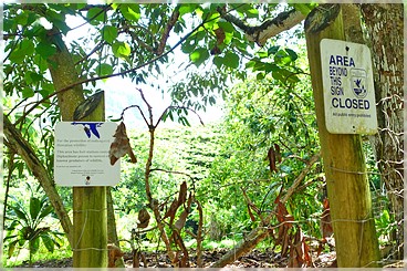 Kaua'i: Hule'ia Wildlife Natural Refuge