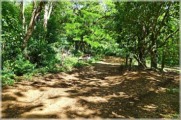 Kaua'i: entlegene Gegend im Süden erkunden