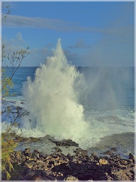 Kaua'i: Spouting Horn