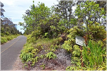 Big Island: Crater Rim  Byron Ledge  Halema'uma'u  Iliahi Trail