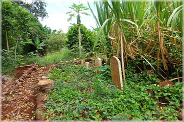 Kaua'i: Waimea: neue Einheimische führen uns durch ihren Garten