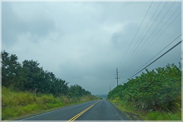 Big Island, Fahrt am Hwy. 11 nach Westen